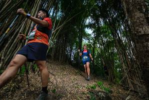 BIB: 
                            <button type="button" onclick="openModal(19395688)" class="btn btn-primary btn-sm float-right btn-popup" data-toggle="modal" data-target=".modal-high-quality">
                        <i class="fas fa-shopping-cart"></i> Add to Cart
                    </button>
                                            <button type="button" onclick="isThisMe(19395688, true)" class="btn btn-success btn-sm float-right btn-popup btn-isme hidden" data-toggle="tooltip" data-placement="bottom" title="นี่คือรูปของคุณใช่ไหม คลิกที่นี่เพื่อเอาเข้าอัลบั้ม">
                        <i class="fas fa-plus"></i> Add to album
                    </button>
                    <button type="button" onclick="isThisMe(19395688, false)" class="btn btn-warning btn-sm float-right btn-popup btn-isnotme hidden">
                        <i class="fas fa-ban"></i> Remove from album
                    </button>